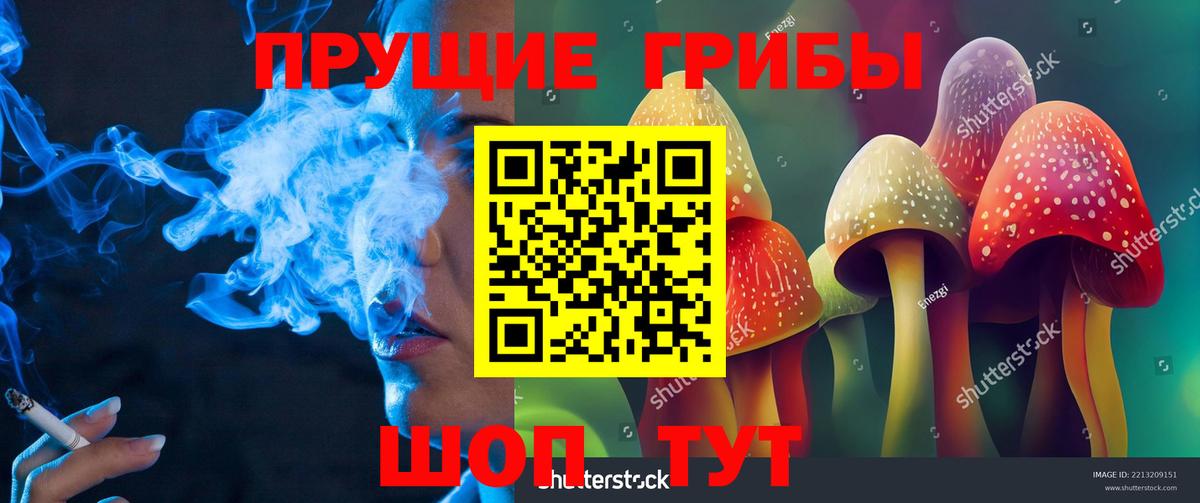 где купить наркоту  Галлюциногенные грибы мицелий  Вход с VPN  Кондопога 